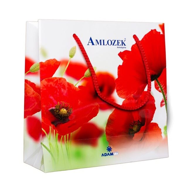 torba papierowa druk